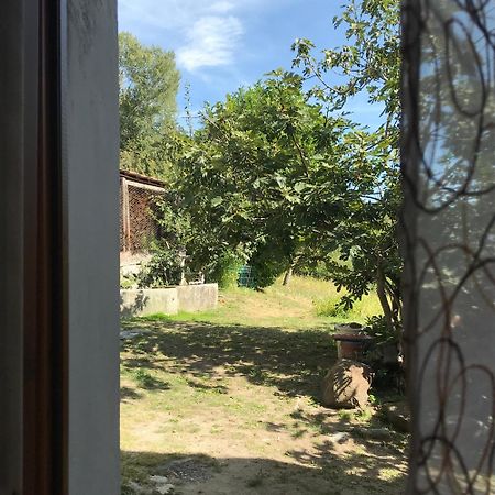 Palu Vacanze: L'Intimita アオスタ 部屋 写真